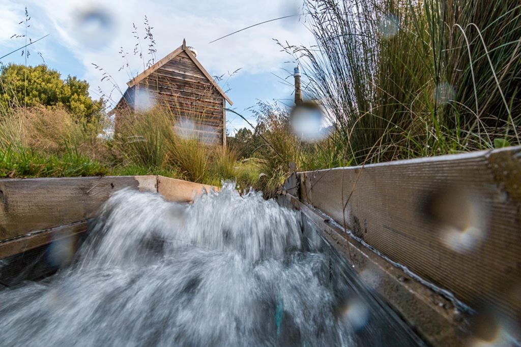 Water rushing through the tail race below our micro hydro generating shed