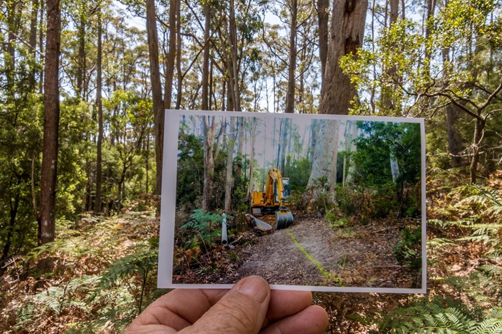Superimposed on the bush is a photo of the excavator that dug the pipeline