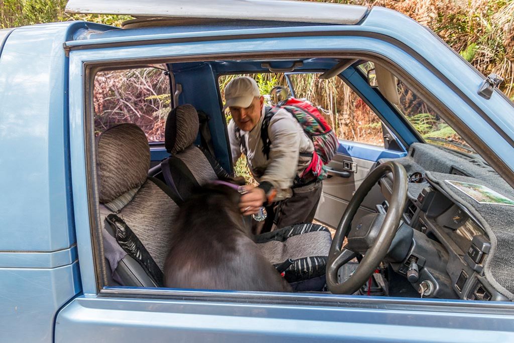 A man encourages his dog to get out of the driving seat of a four-wheel drive vehicle