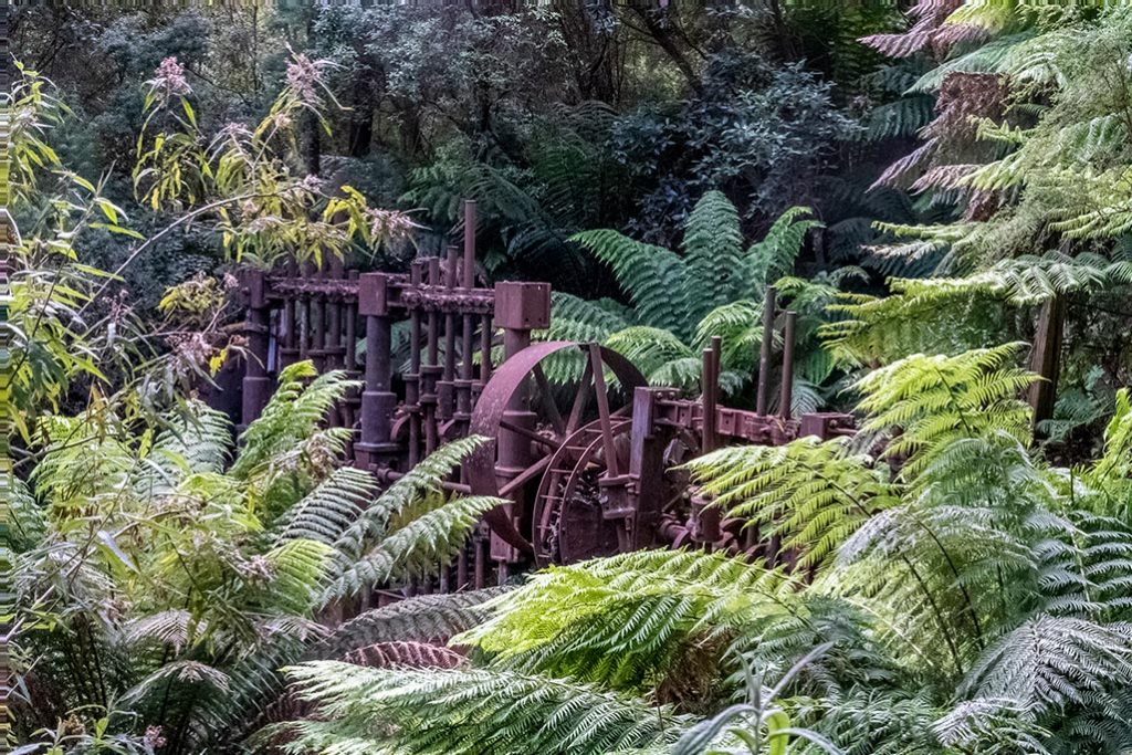 Heritage mining stampers surrounded by tree ferns in North East Tasmania
