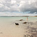 In the distance is a woman with no cloths wading through ocean water with her dog
