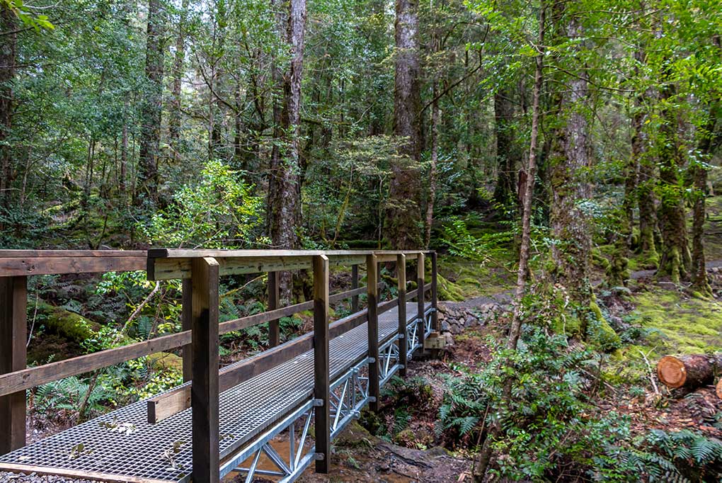 The well contructed bridge in the temperate rainforest on the track to Ralphs Falls Lookout in North East Tasmania