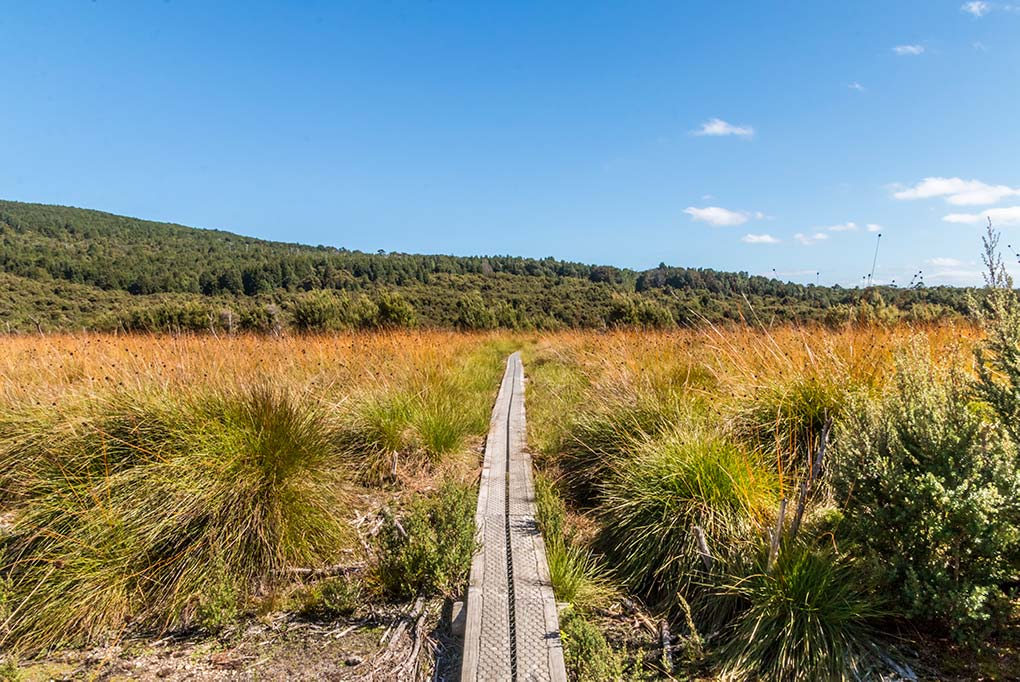 A boardwalk through button-grass plains with foothills in the background, North East Tasmania