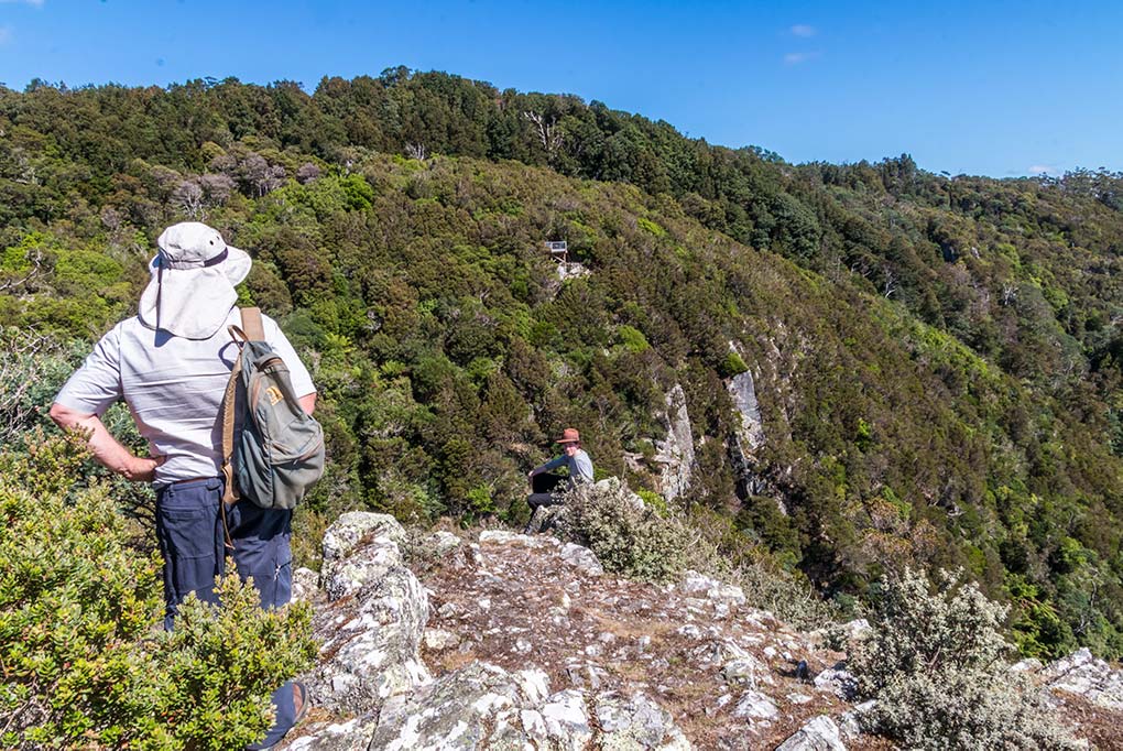 A man looking over to the Ralphs Falls Lookout in North East Tasmania