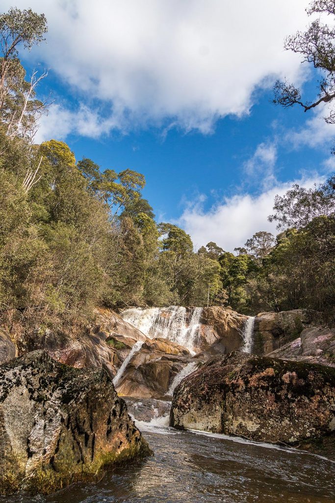 Harridge Falls