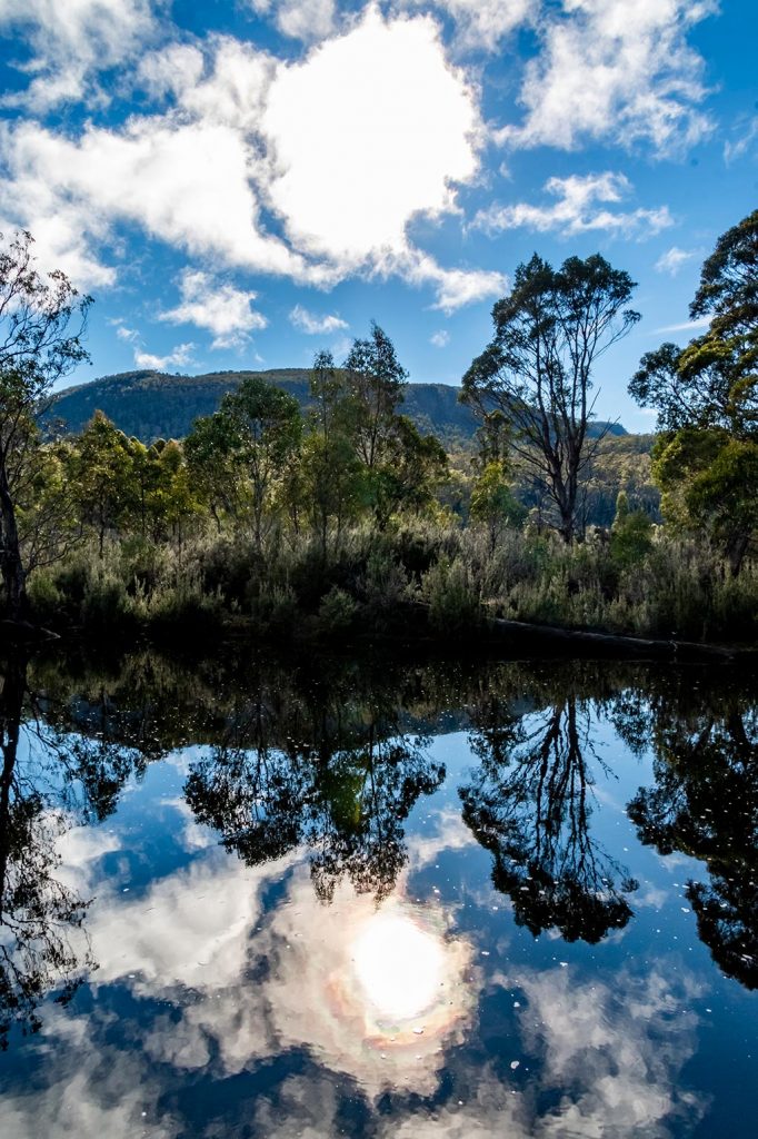 Perfect blue sky and cloud reflections in the Narcissus River at lake St Clair in the Cradle Mountain National Park, Tasmania