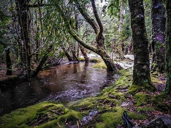 Cephissus Creek in flood near the Pine Valley Hut