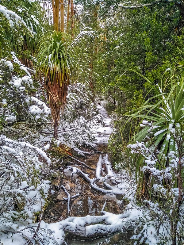 Pine Valley track covered in snow and ice