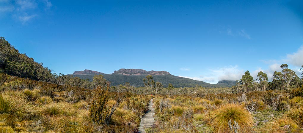 Board-walk track leading to Mount Olympus in the far background, lake St Clair, Tasmania