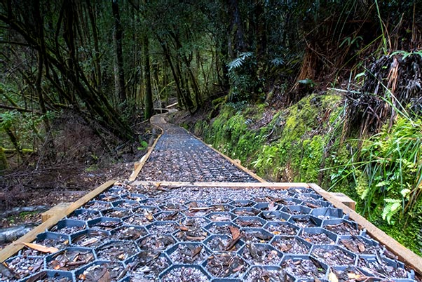 High-tech plastic material used on a section of trail in the rainforest on the Frenchmans Cap walk