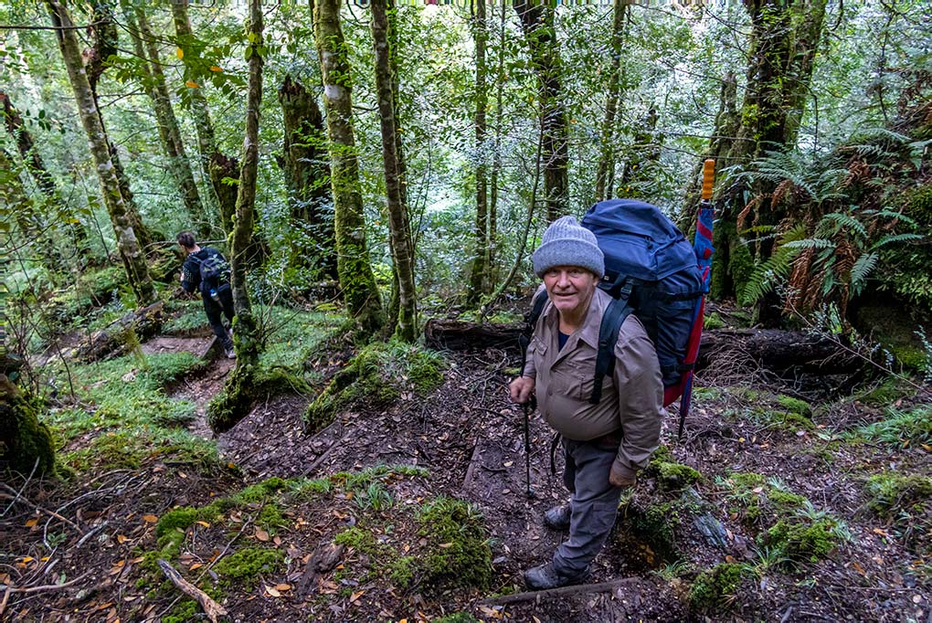 Graham on the steep track through the dense rainforest, on the Frenchmans Cap walk.