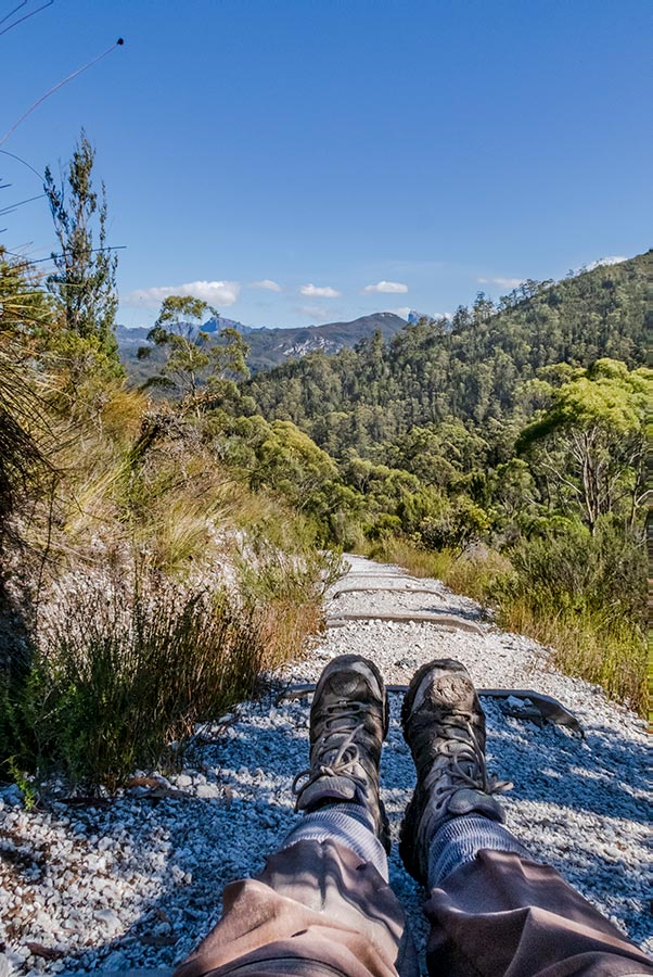 Looking back at Frenchmans Cap from Mount Mullens.