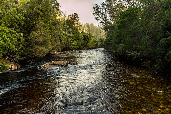 The Franklin River in the Franklin-Gordon Wild Rivers National Park Tasmania