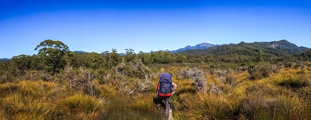 Graham with blue backpack in the centre surrounded by button grass plains and Pickaxe Ridge in the background.