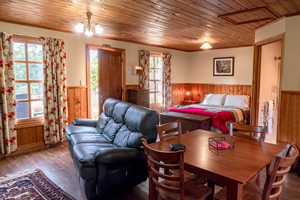 Interior of Ah back studio cottage showing lunge sofa, dining table and queen bed.