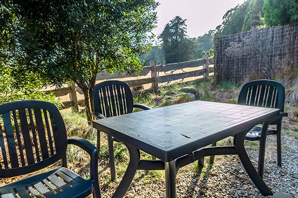 The outdoor garden setting of table and four chairs sits under a blackwood tree overlooking the alpaca paddock.