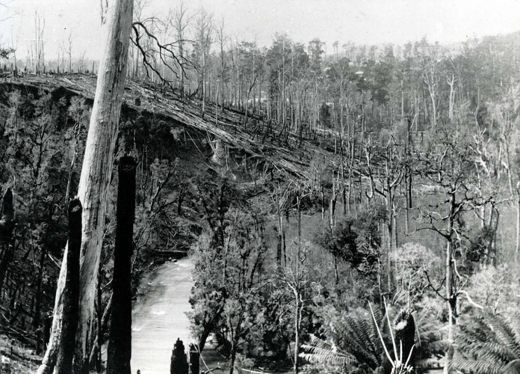 Old black and white photo of the Ringarooma River near what is now Tin Dragon Cottages.