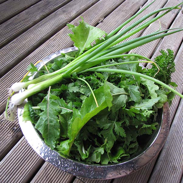 A stainless steel bowl filled with a mixture of green salad vegetables.