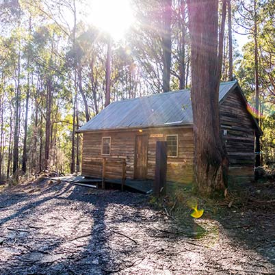 The timber Settlers Hut in the bush is suitable for the more adventurous family holiday in Tasmania.