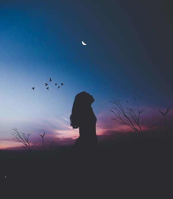 A woman is back lit against a deep blue sky and pink sunset. There is a flock of dark birds contrasted against the colour of the sky.