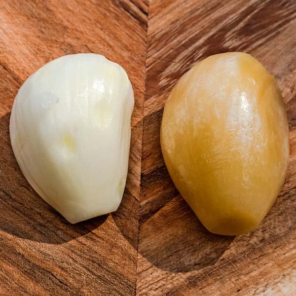 Fresh peeled bulb (left), thawed peeled bulb (right). The thawed bulb is yellow-brown colour.