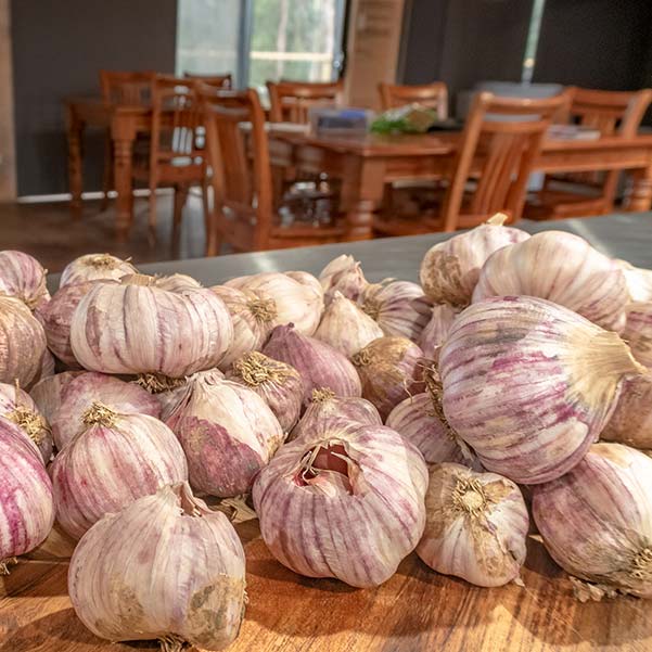 Here is a collection of garlic bulbs sitting on a wooden cutting board.
