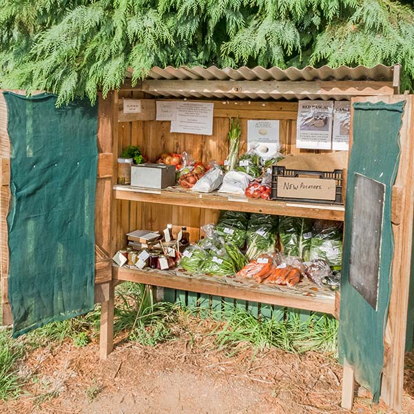 Wooden roadside stall with two shelves filled with packets of fresh vegetables.