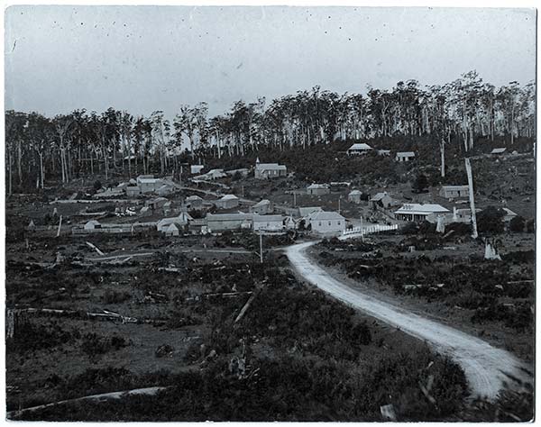 Branxholm in 1859 showing the road leading in from Scottsdale and the bridge over the Ringarooma River.