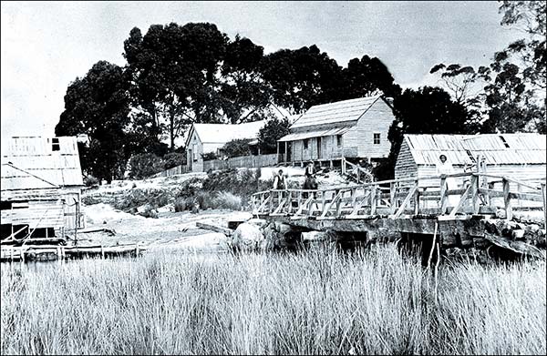 The Forester inn and bridge across the Forester River (C 1890)