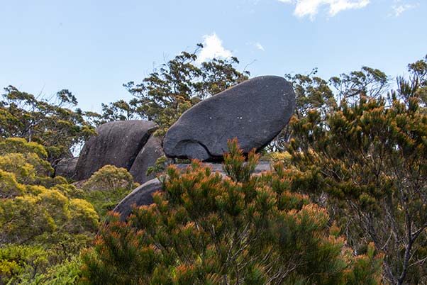 A grey rock formation looks like it is crouching ready to take a leap.