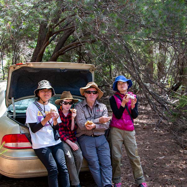 Four people eating sandwiches as they lean on the boot of a family sedan car.