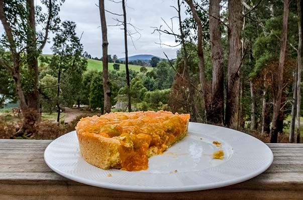 Cape gooseberry tart cut in half on a white plate.