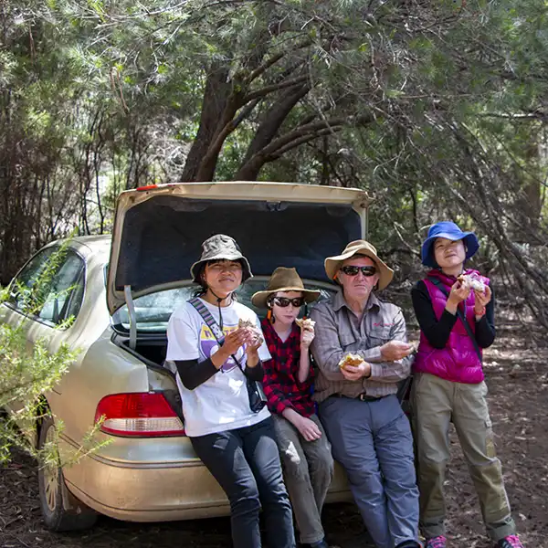 Four people eating a picnic lunch at the back of a car.