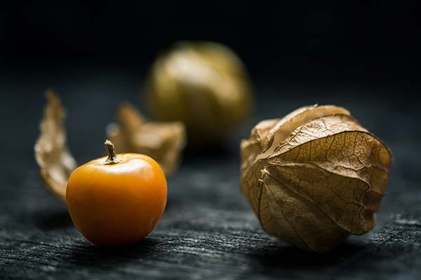 Single ripe gooseberry sitting next to a gold-coloured outer fruit capsule.
