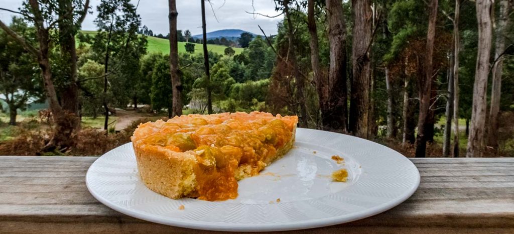 A cape gooseberry tart cut in half sitting on a white plate. In the background is the view of the mountains from the balcony of The Barn at Tin Dragon Cottages.