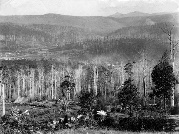 A view out to Scottsdale in Tasmania taken during the Tin Mining era around 1890.