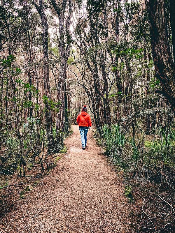 A woman wearing a red coat and red beanie is walking away from the camera along an easy walking trail in the Blue Tiers Forest Reserve.