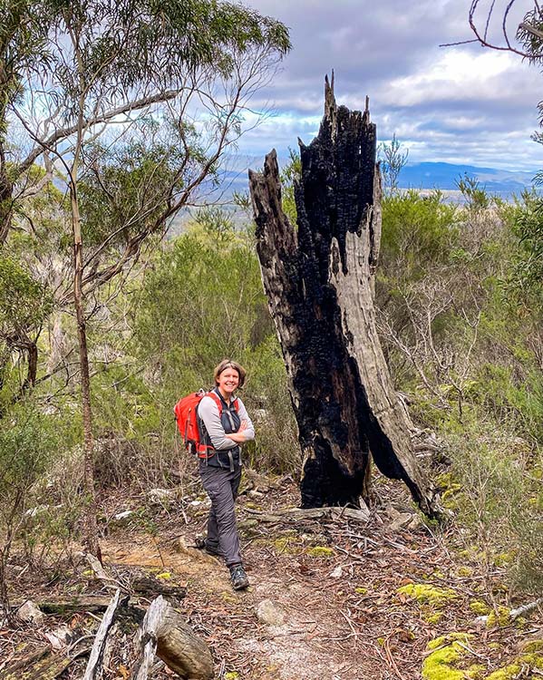 Woman wearing a red day-pack is standing on the trail leading up to Cube Rock and there is a burnt out old tree behind her and mountains in the distance - from our road trip in Tasmania