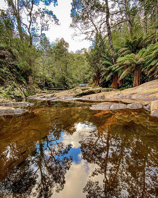 A crystal-clear creek reflects the sky near Halls Falls in Tasmania.