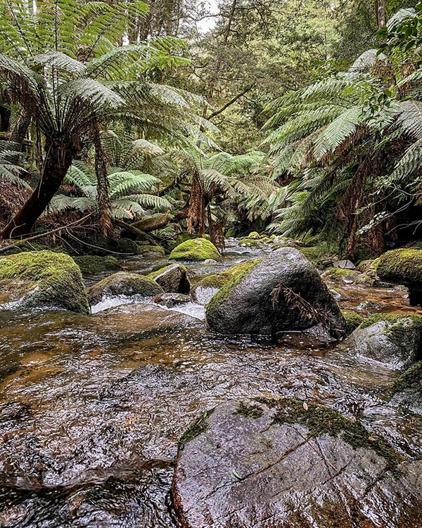 South George River below the St Columba Falls in North East Tasmania