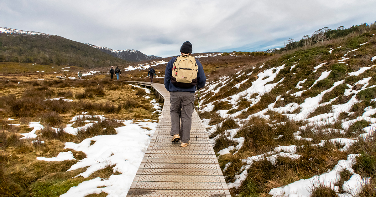 Cradle Mountain Short Walks (Part 1) Tin Dragon Cottages