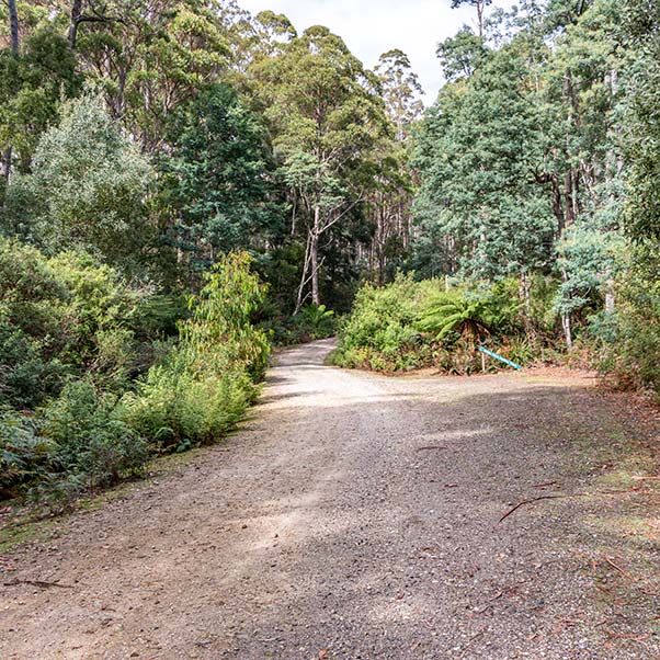 This is a gravel road with native regrowth bush on each side.