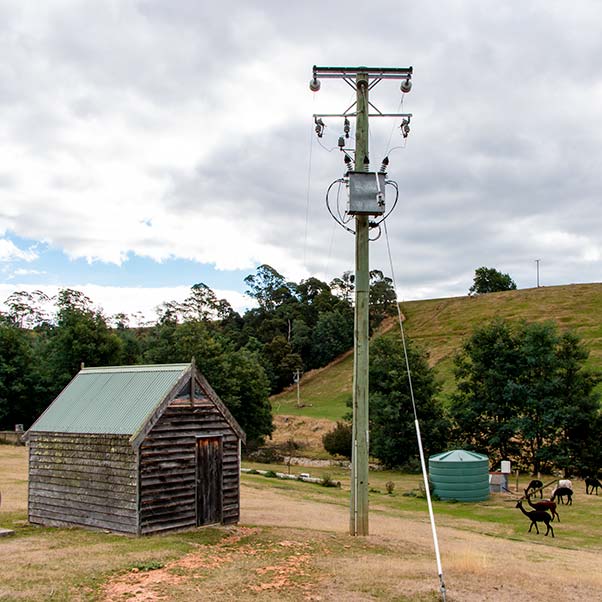 A power pole stands near a small timber shed.