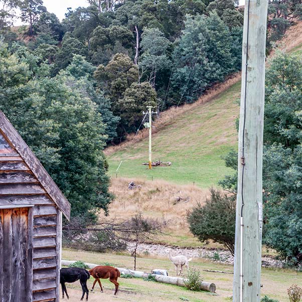 In the background opposite the pole on our property is our neighbour's power pole on the opposite side of the river.