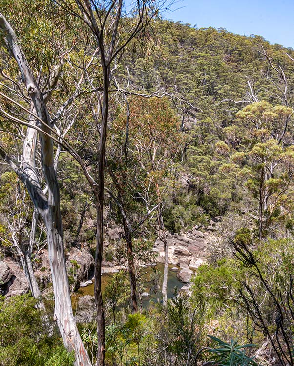 Looking down to the river from the walking track to the waterfall.