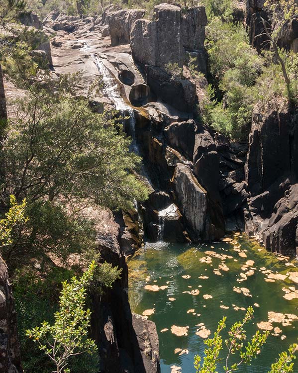 Meadstone Falls plummets down over dark dolerite rock into a deep clear rock pool. 