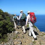 Three bushwalkers carrying back packs.