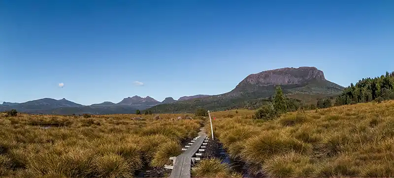A panoramic view of Mount Pelion West, Mount Ossa, Mount Pelion East and the Du Cane range as seen from button grass plains.