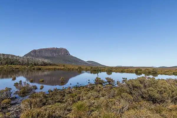 The image of Mount Pelion west reflected in a tarn on day three of the Overland Track walk.