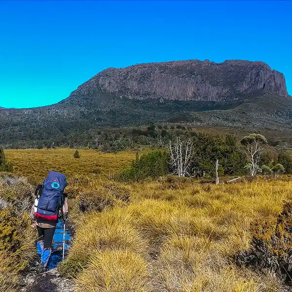 Graham walking the button-grass track with Mount Pelion West in front of him.